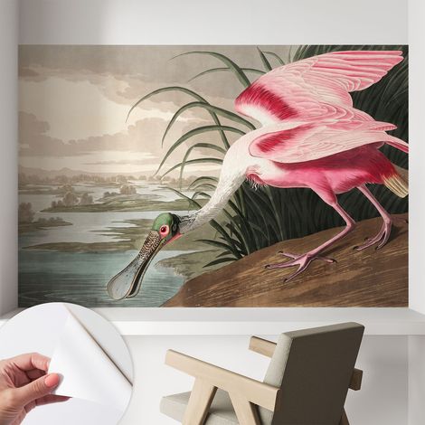 Papier peint autocollant avec imprimé pour décoration intérieure pour rénovation a motif Oiseau exotique 104x70 cm (1/5)