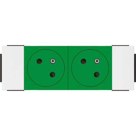 Prise 2x2P+T Surface Mosaic Soluclip goulotte clippage direct 4 modules vert LEGRAND 077192L (1/3)