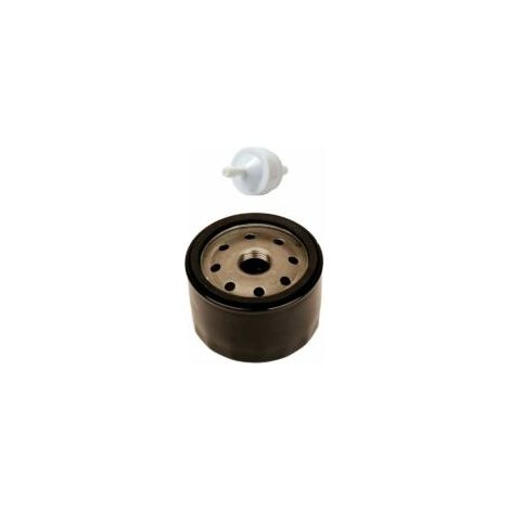 Filtro de aceite 492932 492056 492932S 695396 696854 AM125424 con filtro de combustible 394358 394358S AM38708 para cortacésped Briggs & Stratton - Crezuo