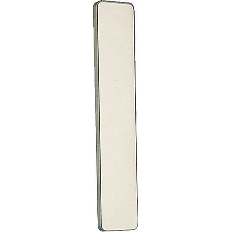 Plaque aveugle pour garniture aluminium anodisé Riviera finition champagne - VACHETTE