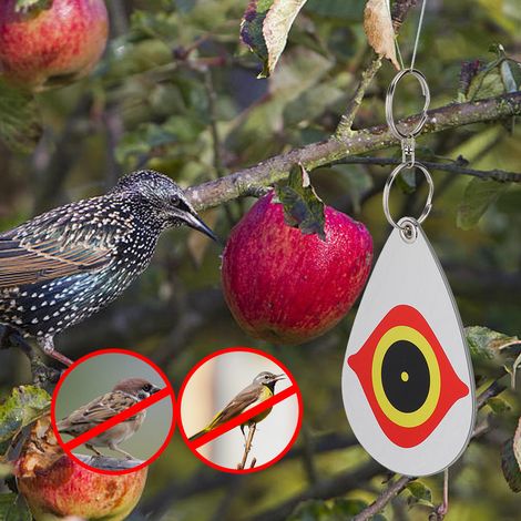 5er-Set reflektierende Vogelabwehr-Dekorationsanhänger mit Augenmuster für Obstgarten, Balkon (1/5)