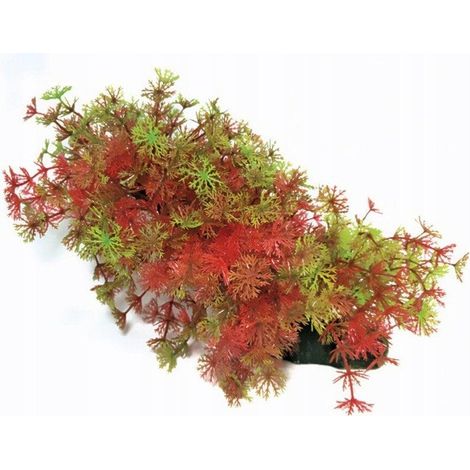 Pianta acquario Krist 23 cm plastica non tossica