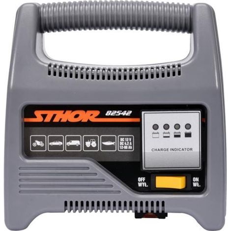 RADDRIZZATORE STHOR 12V 6A 90Ah LED (1/2)