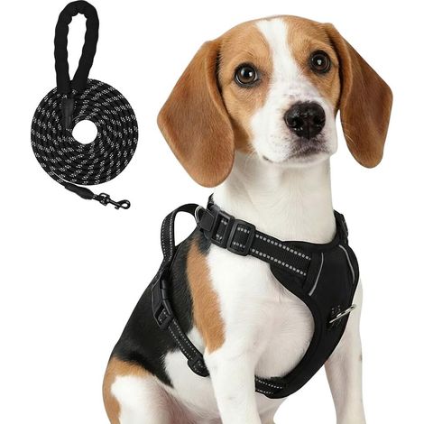 Harnais pour Chien Réglable et Respirant avec Laisse - Confort et Sécurité pour Promenades