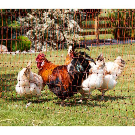 Direct Filet – Poulailler amovible 50m – Filet robuste 1,06m de haut – 15 piquets PVC doubles pointes – Mailles serrées pour sécurité des volailles (1/5)