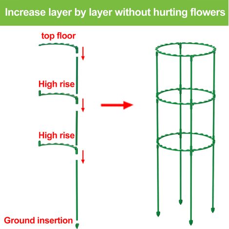 Tuteur pour plantes grimpantes, facile à utiliser et durable. (1/5)