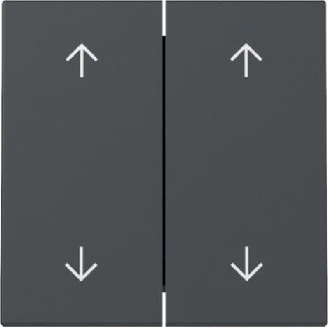 Gira Wippe 2-fach System 55, Pfeilsymbole, Anthrazit, 329728