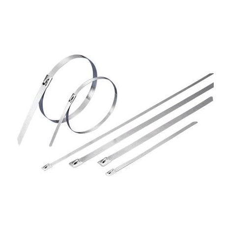 Serre-câble 521 mm x 7.90 mm argent TRU COMPONENTS TC-BCT521L203 1592776 crantage intérieur 1 pc(s)