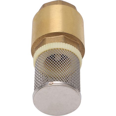 Clapet anti-retour en laiton G1 unidirectionnel, étanchéité optimale, longueur 99 mm, avec filtre pour eau et huile. (1/5)