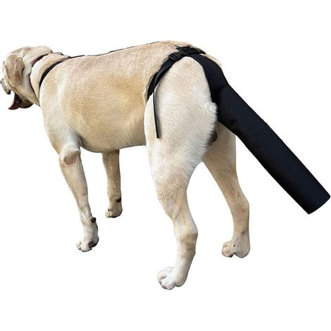 Protection pour queue de chien, couverture ajustable contre les blessures et la perte de poils, soin esthétique, anti-mordillage et anti-léchage (1/4)