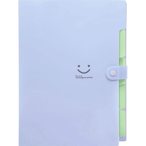 Pochettes extensibles pour documents au format A4, avec accordéon (1/5)