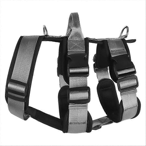 Harnais anti-explosion pour grand chien avec poignée, gris, taille L (1/5)