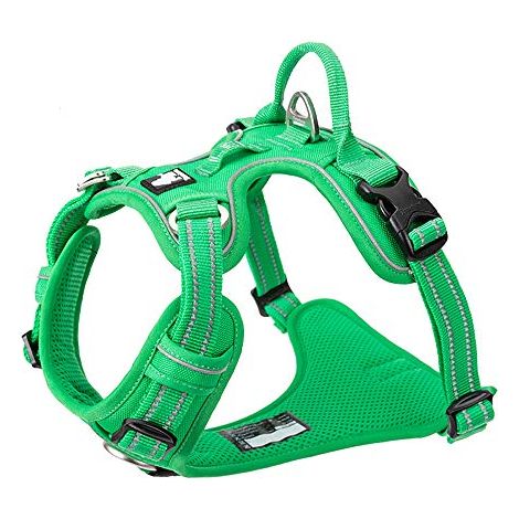 [NUNCA USADO] Arnés para perros antitirones de nailon suave, reflectante, ajustable, para mascotas pequeñas y grandes, talla S, verde hierba (1/5)