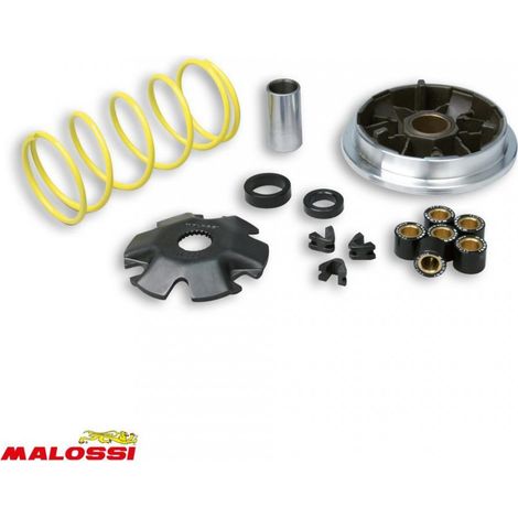malossi multivar variator für roller suzuki 50 katana nach 1999 (1/2)