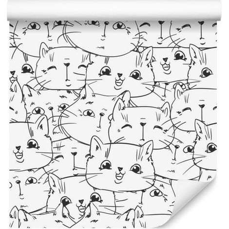 Papier peint chatons pour salon et chambre 50x1000 cm (1/5)