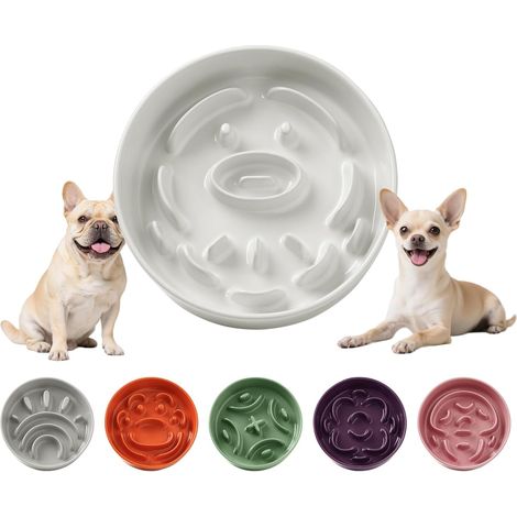 1 Gamelle Anti Glouton,Céramique,Antidérapante,Bol Labyrinthe,Alimentation Lente,Petit Chien Chat (1/5)