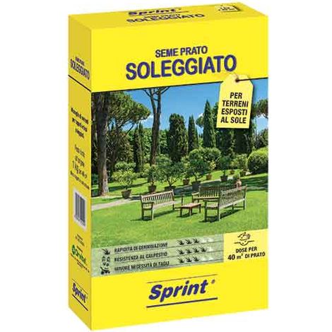 SEMI PER PRATO SOLEGGIATO 1 Kg