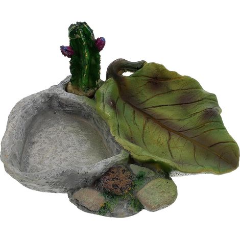 Bol d'eau et distributeur de nourriture en résine pour reptiles, bol de boisson stable pour tortues et lézards pour un usage quotidien dans le terrarium (1/5)