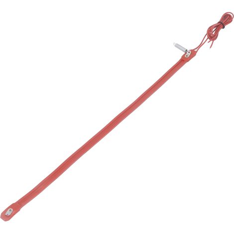 Câble chauffant antigel pour tuyaux d'eau, 40 W, 220 V CA, pour pompe submersible à moteur, longueur 530 mm (1/5)