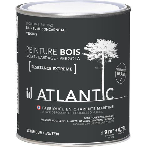 Peinture bois extérieurs - RAL 7033 Brun fumé Concarneau - 750ML - ATLANTIC (1/3)