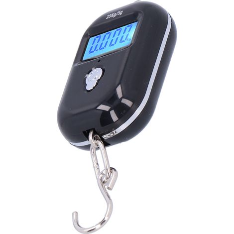 Balance électronique portable 25 kg avec affichage rétroéclairé, pèse-personne de précision pour courses (1/5)