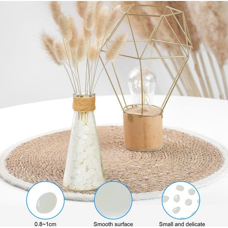 Glow Stones - Cailloux Lumineux pour Jardin, Allée, Aquarium et Décoration de Pot de Fleur - Pierres Lumineuses Fluorescentes Bleues