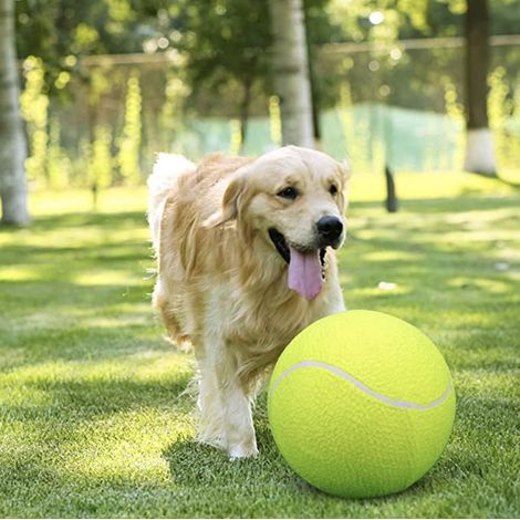 Pallina da tennis gigante per cani da 24 cm (fornita sgonfia pompa non inclusa) (1 confezione) (1/2)