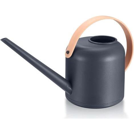 Arrosoir d'intérieur, Petit arrosoir avec Bec Long, 1,7 Litre, 50 onces, pour Plantes en Pot, Jardin d'herbes, Fleurs et Plantes Grasses, Gris Clair (1/5)
