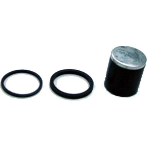 Pistone pinza freno con guarnizioni Tourmax (CPK-906) (1/2)