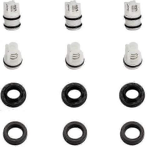 Kit de clapet anti-retour et de joint durable pour la réparation des nettoyeurs haute pression domestiques (1/5)