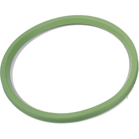 BLÜCHER EuroPipe Dichtung FPM DN 125