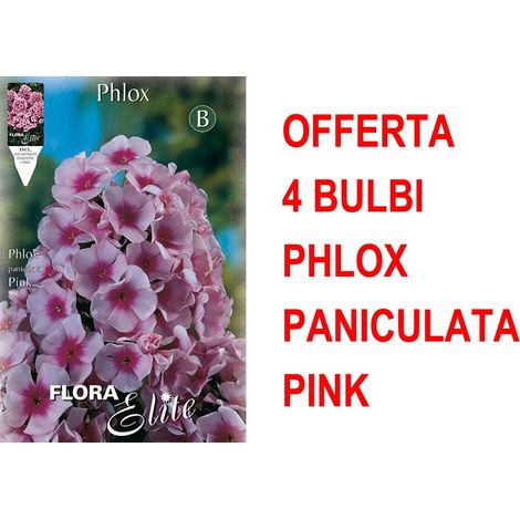 OFFERTA 4 BULBI PHLOX ROSA BULBS