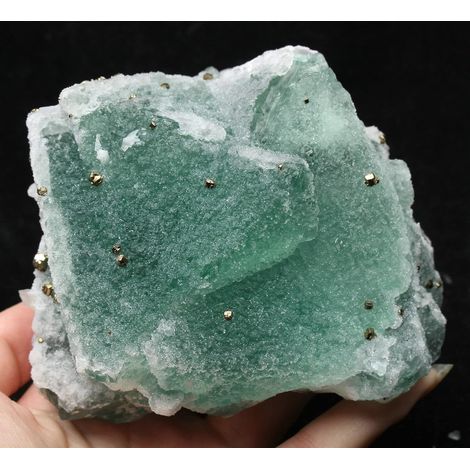 Spécimen de Pyrite de dodécaèdre de Fluorite Verte Naturelle Collections de la Maison (1/5)