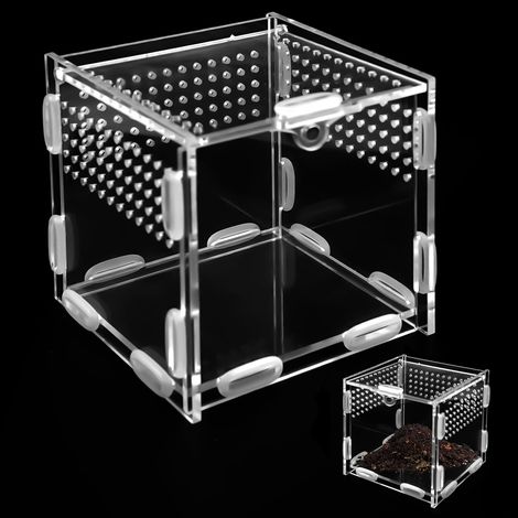 Boîte d'élevage transparente en acrylique pour reptiles et insectes - Terrarium portable avec fermeture magnétique et ventilation pour araignée, scorpion, lézard (1/5)