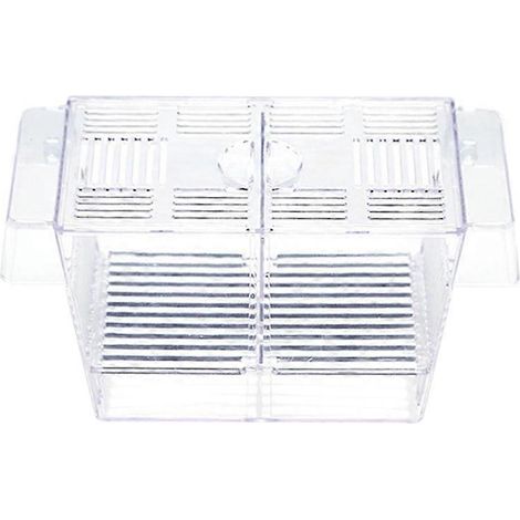 Couveuse d'incubation pour poissons d'aquarium, boîte d'isolation en plastique pour guppy, grande taille, boîte de reproduction pour aquarium.