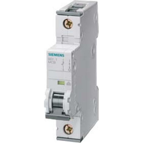 Siemens 5SY41025 5SY4102-5 Leitungsschutzschalter     2 A  230 V, 400 V