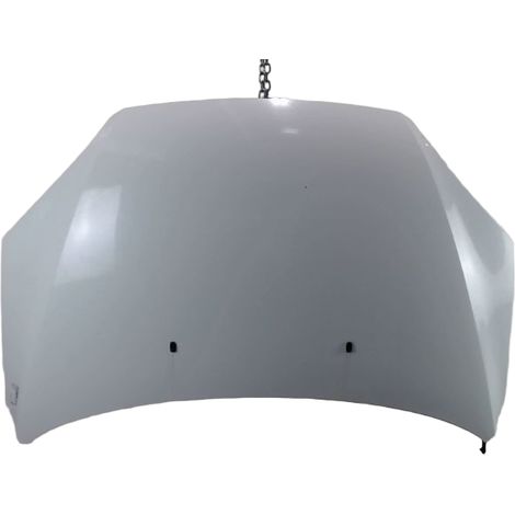 Capot FORD Focus Sw 2005-2007 [PRODUIT D'OCCASION]♻️1505771 (1/3)