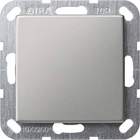 GIRA 4010337021865 EDS COUVERCLE DE PORTE POUR SYSTÈME DE COMMUNICATION 0268600