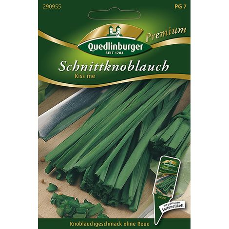 Quedlinburger Saatgut – Ail de Chine « Kiss me » – Graines d'herbes aromatiques, vivace, feuilles plates au goût d'ail, hauteur env. 60 cm