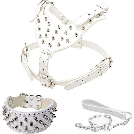 Collier pour chienne blanc à clous pour petites et moyennes chiennes - Collier gothique à clous - Laisse (1/5)