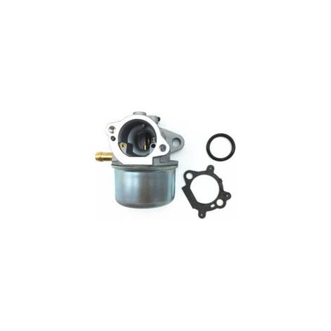 Ersatzteile für Motoren (ohne Anlasser) mit Dichtungen und O-Ringen, passend für die Modelle 799868, 799872, 790821, 498170, 497586 und 498254.