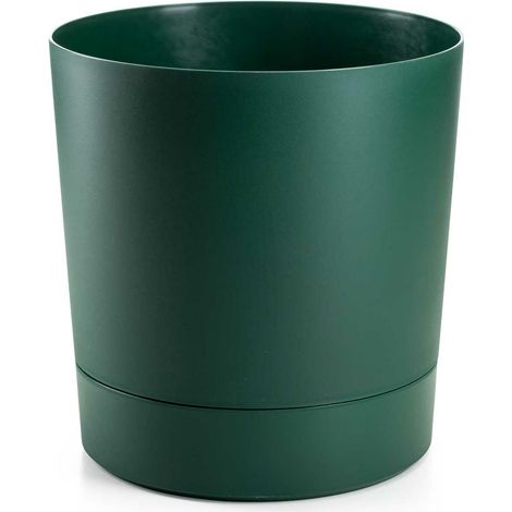 Azaleen-Avocado-Topf mit Untertasse, 35 cm