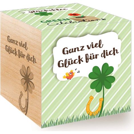 Feel Green Celebrations Ecocube, quadrifoglio portafortuna, cubo in legno con incisione laser "Ganz viel Glück Für Dich", idea regalo sostenibile, set di coltivazione, Made in Austria (1/5)