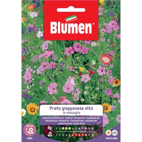 SEMI PRATO GIAPPONESE ALTO MIX BLUMEN