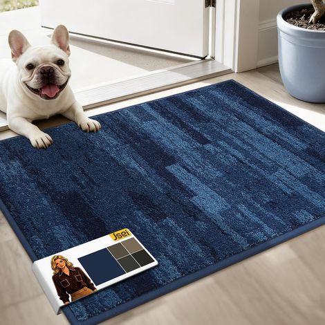 Indoor Dirt Trapper Mat 50 x 80 cm, Non-Slip Door Mat, Machine Washable, Waterproof Door Mat, Entrance, Entrance Door and Hallway, Blue (1/5)