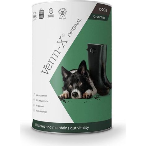 Verm X Treats For Dogs 100g - 26008