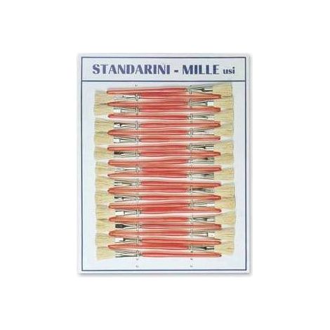 2,0 x PENNELLI STANDARINI