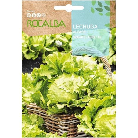 Rokalba Lagos Lagos Selection Dex 50 Piloras