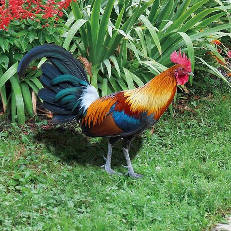 Panneau Coq de Jardin - Panneau Coq en Acrylique pour Jardin Extérieur - Insert de Sol A-- (1/5)