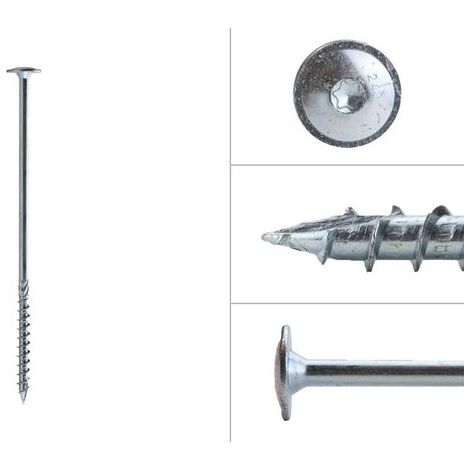 Vis à tête disque galvanisée 10.0 x 260 mm Torx 40 - Boîte 25 (1/2)